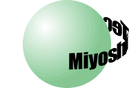 This image has an empty alt attribute; its file name is miyoshi_q-2.gif